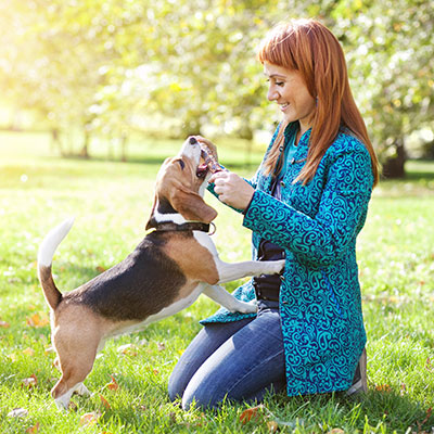 the oldest and premier animal hospital in Westport, CT