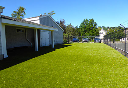 Dog and Puppy Training at Schulhof