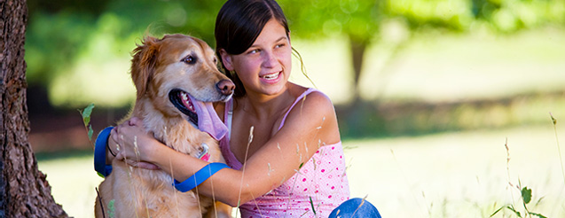 Schulhof Animal Hospital | Westport, CT Veterinary Clinic | Veterinarian in Westport, CT | Westport CT Animal Medical Care | Pet Spa in Westport, CT Schulhof Animal Hospital | Westport, CT Veterinary Clinic | Veterinarian in Westport, CT | Westport CT Animal Medical Care | Pet Spa in Westport, CT