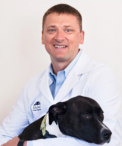 westport ct animal health care Dr. Adam Stryjewski