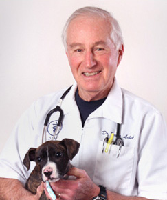 westport ct animal health care Dr. Irwin J. Lebish