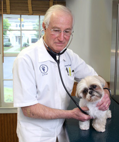 Veterinary Wellness Exams